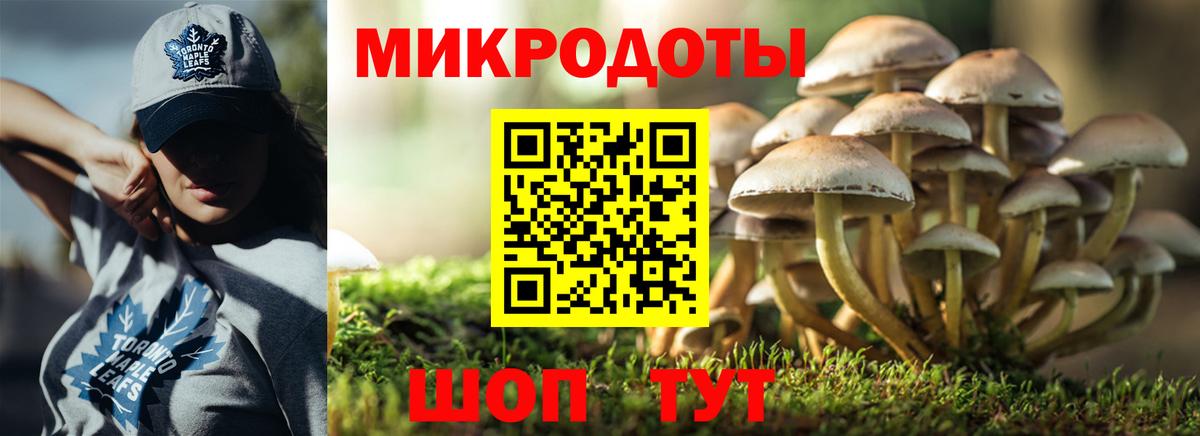 Псилоцибиновые грибы мухоморы Ступино